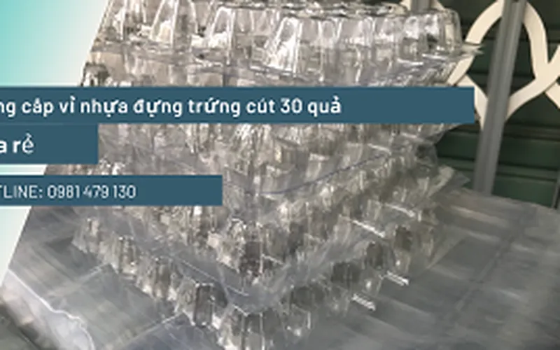 Cần mua vỉ nhựa đựng trứng cút giá rẻ Tp.HCM