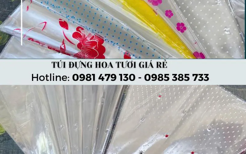 Túi gói hoa tươi trong suốt, đủ size, giá rẻ tại TpHCM