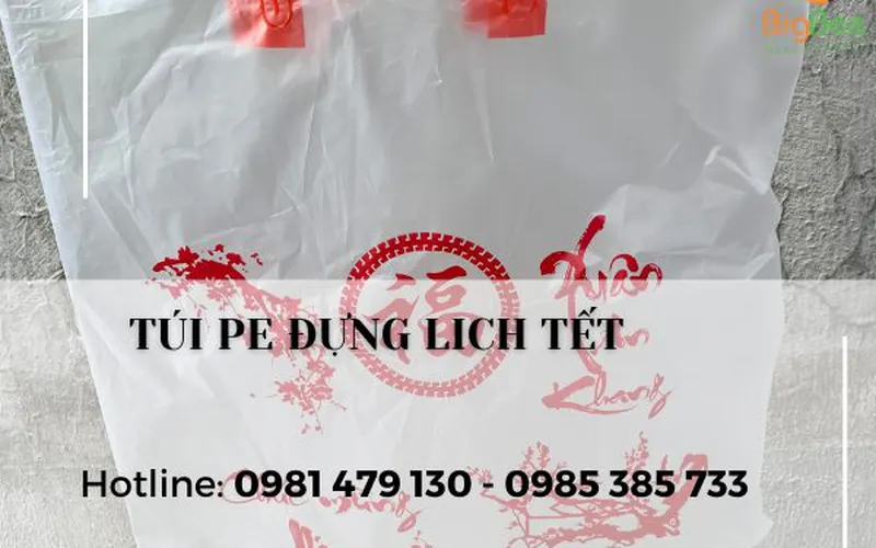 Những mẫu Túi hột xoài đựng lịch tết giá rẻ nhất TpHCM