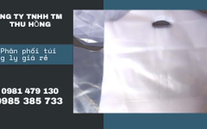 Bán giá sỉ túi đựng 2 ly trà sữa có vách ngăn tại TPHCM