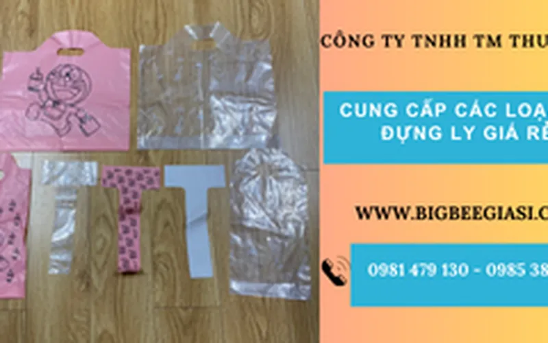 Bán túi đựng ly nhựa in sẵn giá rẻ nhất TpHCM