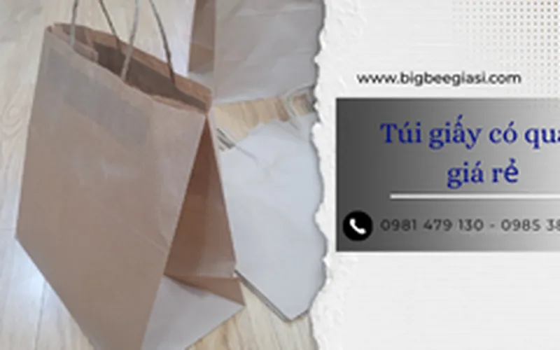 Túi giấy kraft có quai giá rẻ nhất TpHCM