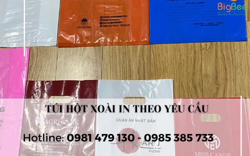 Xưởng In túi hột xoài theo yêu cầu, tư vấn thiết kế miễn phí tại TpHCM