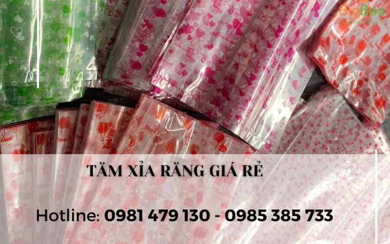 Túi hột xoài pp in họa tiết đựng mỹ phẩm đa dạng kích thước