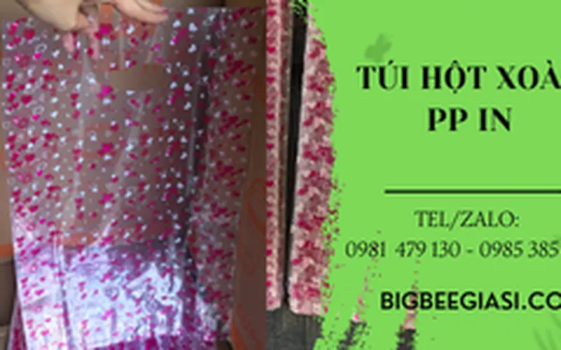 Túi hột xoài PP trong, túi hột xoài PP in hình đẹp 