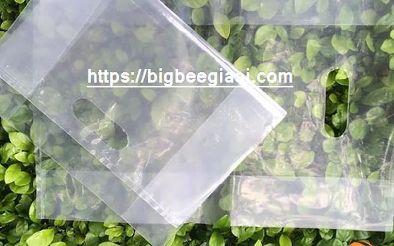 BÁN TÚI HỘT XOÀI GIÁ SỈ RẺ CHO NHÀ PHÂN PHỐI