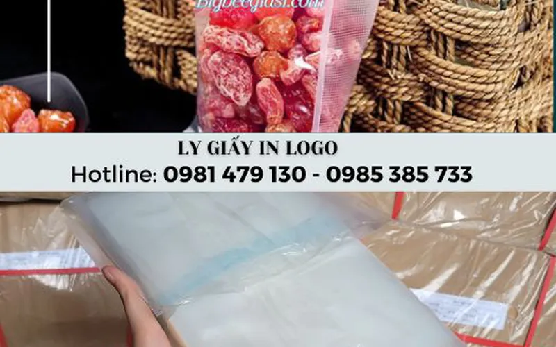 Nguồn hàng sỉ túi PA/PE hút chân không giá rẻ nhất HCM