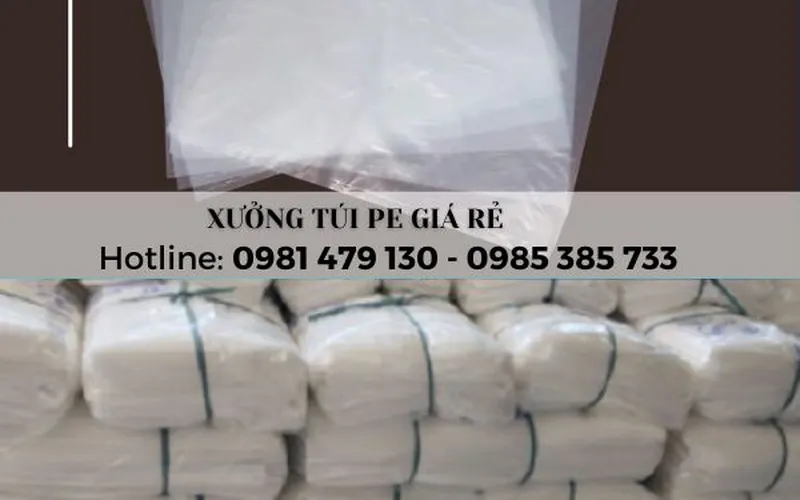 Cung cấp túi PE trong suốt đựng thực phẩm, vật tư – Giá tốt tận xưởng