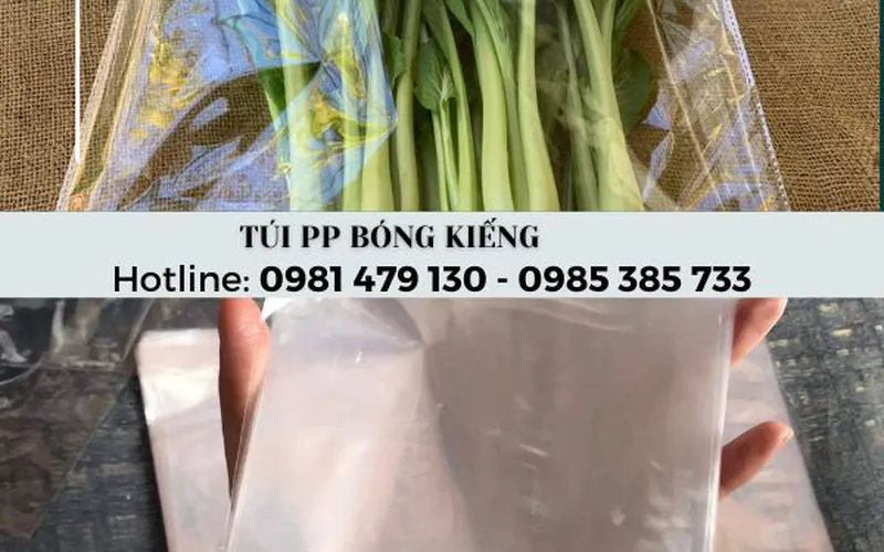 Xưởng túi PP Kính giá rẻ đủ size tại HCM