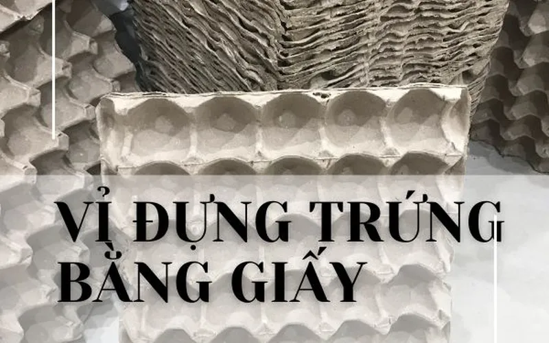 Mua vỉ giấy đựng trứng gà, trứng vịt giá rẻ có sẵn số lượng lớn  TpHCM