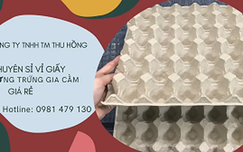 Vỉ giấy đựng trứng gia cầm giá rẻ Tp.HCM