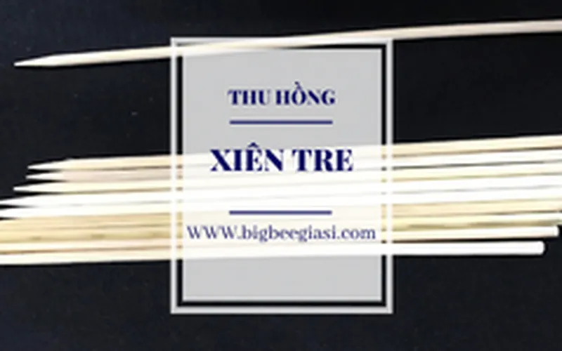 Xiên tre mua ở đâu giá rẻ chất lượng?