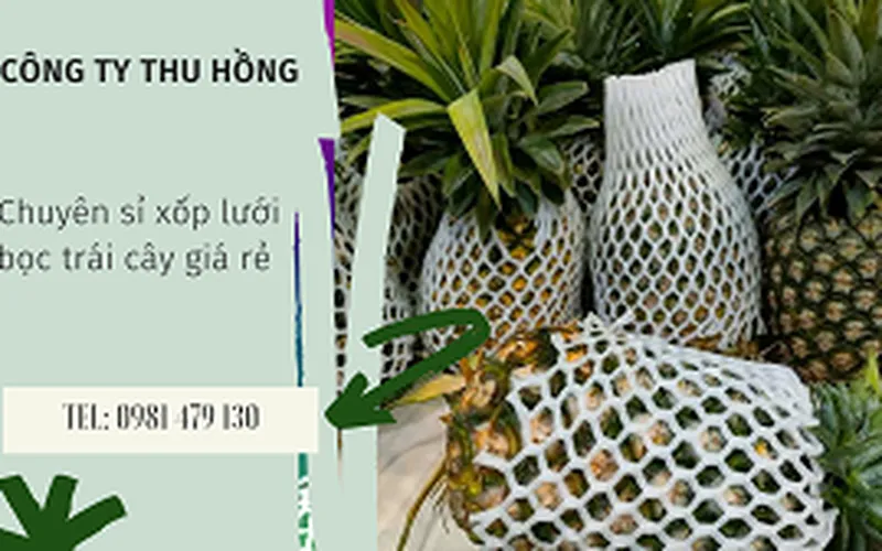 Xốp bọc hoa quả mua ở đâu rẻ?