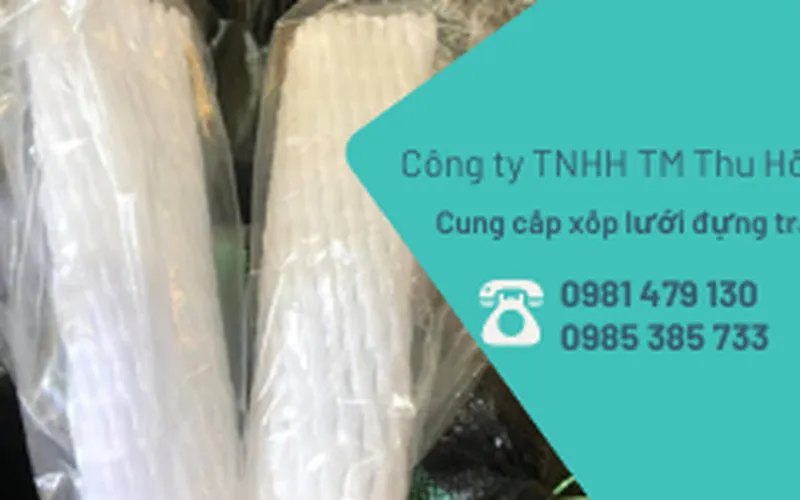 Xốp bọc trái cây – lưới xốp bọc tránh côn trùng giá rẻ cho nhà vườn.