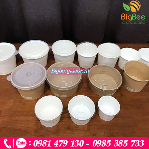 Các loại tô giấy giá rẻ tại TpHCM