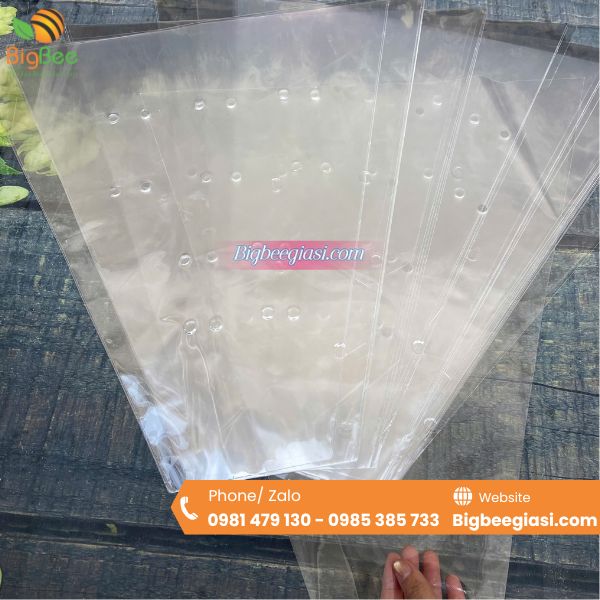 Túi bọc hoa tươi trong suốt  Túi bọc hoa tươi trong suốt