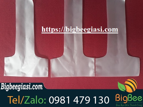 túi chữ t in logo