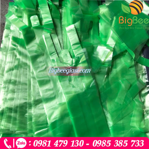 Thu Hồng cung cấp túi đựng ly nước mía giá rẻ