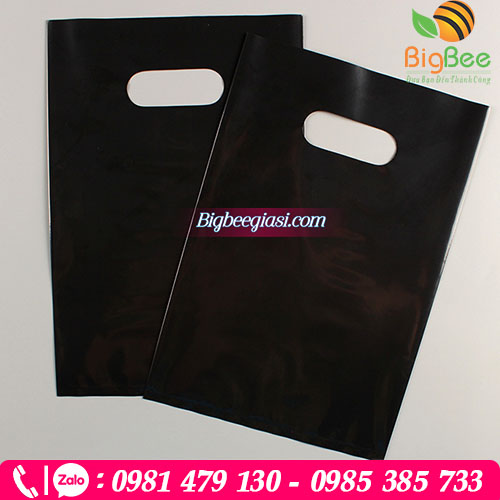 Túi hột xoài màu đen