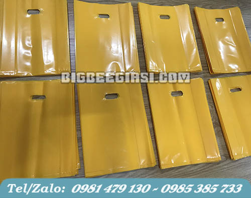 sản xuất túi hột xoài