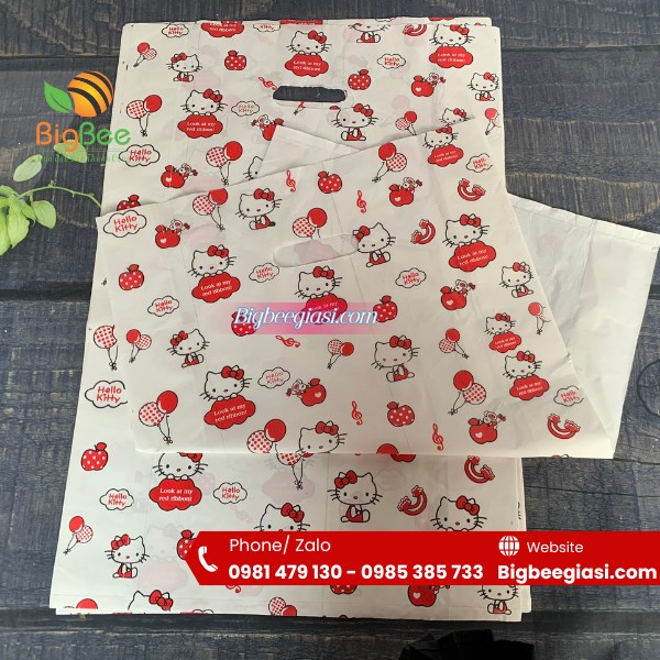 Túi hột xoài HD Túi hột xoài HD