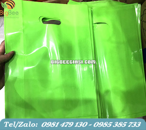 Túi hột xoài màu xanh bắt mắt Túi hột xoài màu xanh