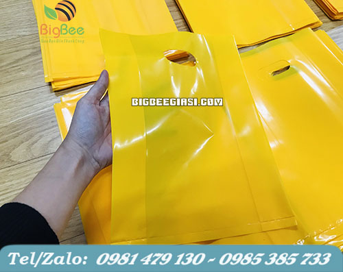 Túi hột xoài màu vàng Túi hột xoài màu vàng