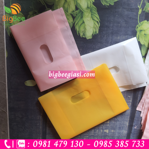 Túi hột xoài pe nhiều màu