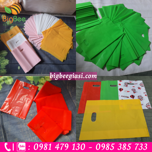 Túi hột xoài pe, hd