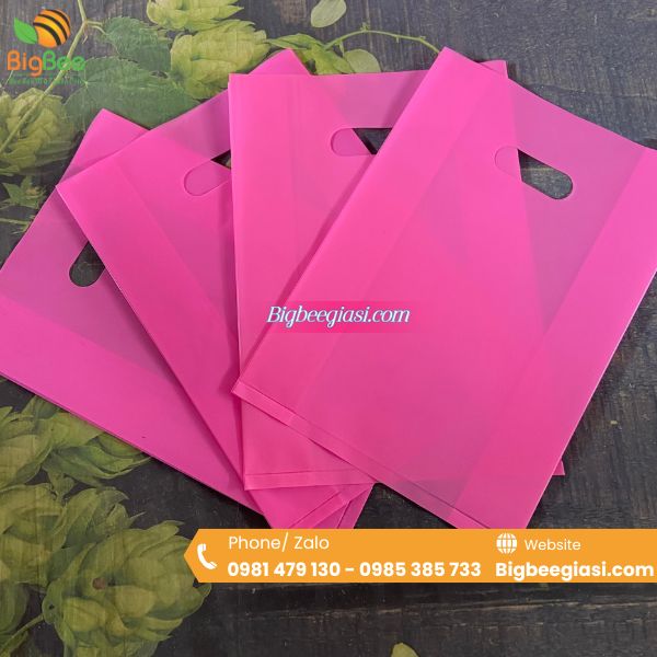 Túi hột xoài pe chất lượng phù hợp với các cửa hàng từ bình dân đến cao cấp Túi hột xoài pe chất lượng phù hợp với các cửa hàng từ bình dân đến cao cấp