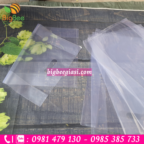 Túi hột xoài pp trong suốt