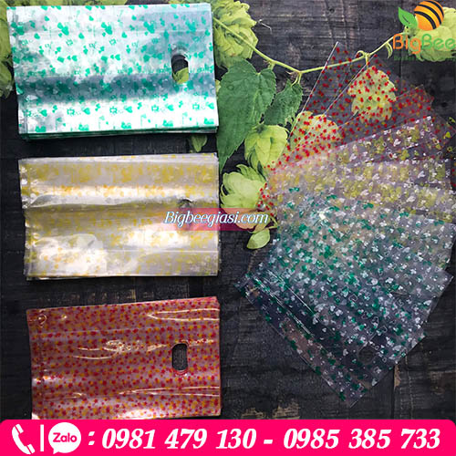 Túi hột xoài in hình đủ màu đẹp cho các cửa hàng Túi hột xoài in hình đủ màu đẹp cho các cửa hàng