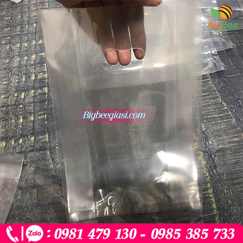 Túi hột xoài pp trong kích thước 22cm x15cm Túi hột xoài pp trong kích thước 22cm x15cm