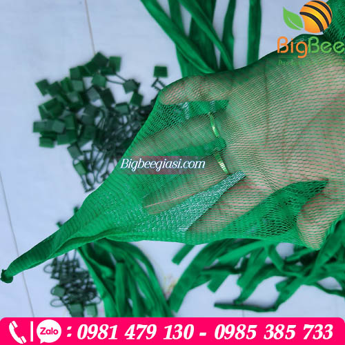 Túi lưới xanh đựng bưởi da xanh