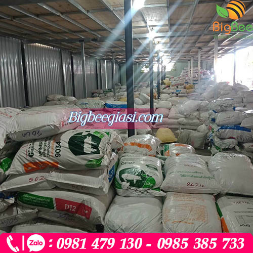 Xưởng cung cấp túi nilon đen - Thu Hồng