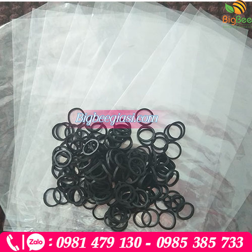 Túi nilon và dây thun sử dụng để lồng xốp bọc ổi