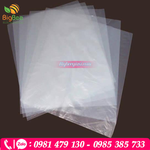 Túi pe trong Túi pe trong