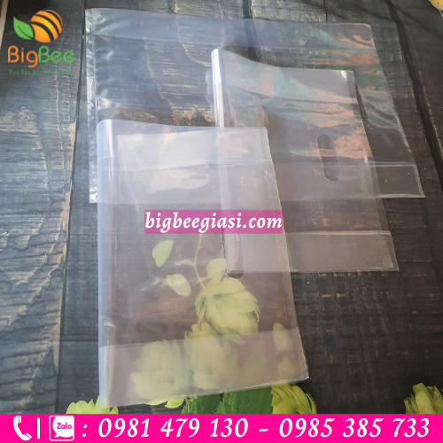 Túi hột xoài trong suốt