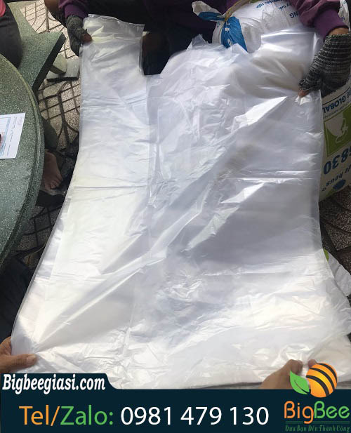 Túi xốp đựng 20 kg Túi xốp đựng 20 kg