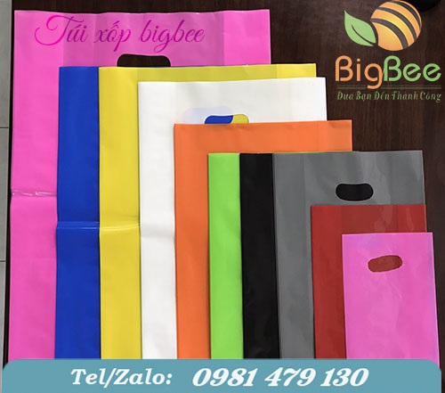 Túi hột xoài Túi hột xoài