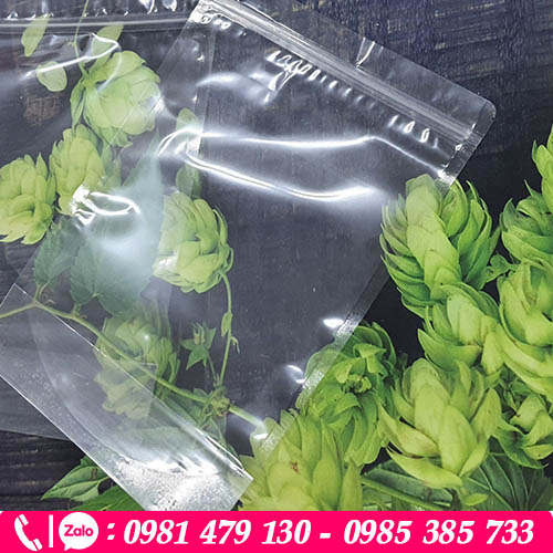 Túi zipper trong suốt đáy đứng đựng thực phẩm