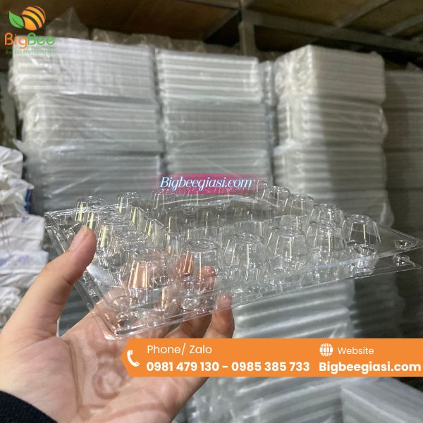 Vỉ đựng trứng cút nút bấm 30 quả Vỉ đựng trứng cút nút bấm 30 quả