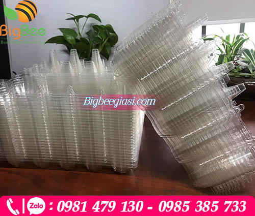 Vỉ nhựa đựng trứng gia cầm