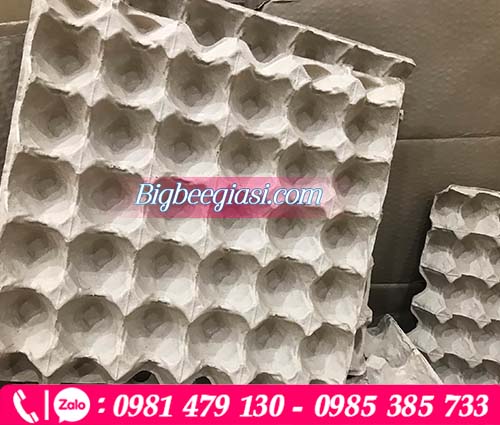 Vỉ giấy Malaysia đựng trứng gà vịt