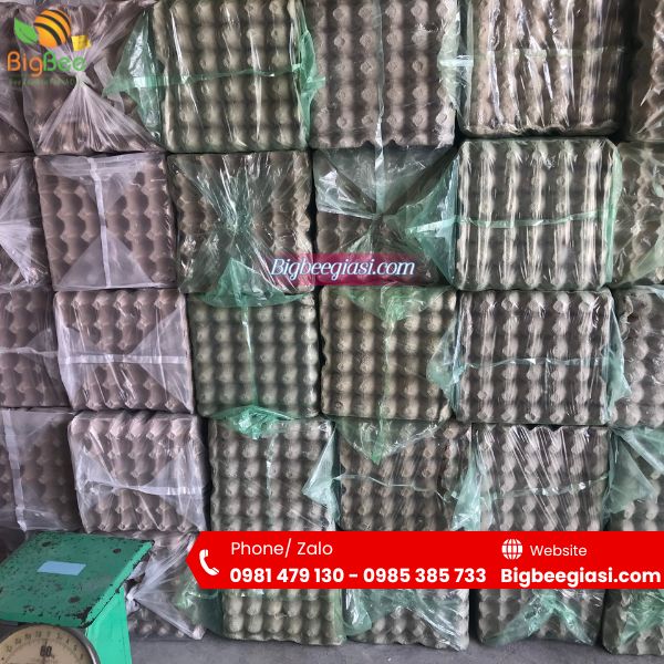 Khay giấy đựng trứng tiện lợi,gọn nhẹ dễ dàng di chuyển bảo quản trứng an toàn Khay giấy đựng trứng tiện lợi,gọn nhẹ dễ dàng di chuyển bảo quản trứng an toàn