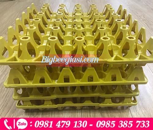 Khay nhựa đựng trứng gà màu vàng