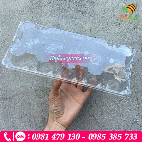 Vỉ nhựa đựng trứng 10 quả - nút bấm Vỉ nhựa đựng trứng 10 quả - nút bấm