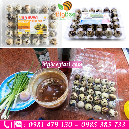 Vỉ nhựa PET đựng trứng cút