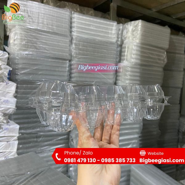 Vỉ nhựa bấm nút đựng 10 quả trứng Vỉ nhựa bấm nút đựng 10 quả trứng