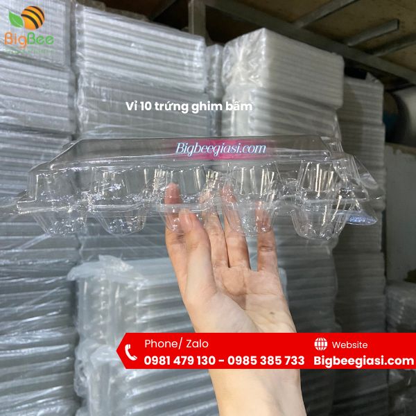 Vỉ nhựa bấm ghim đựng 10 quả trứng Vỉ nhựa bấm ghim đựng 10 quả trứng